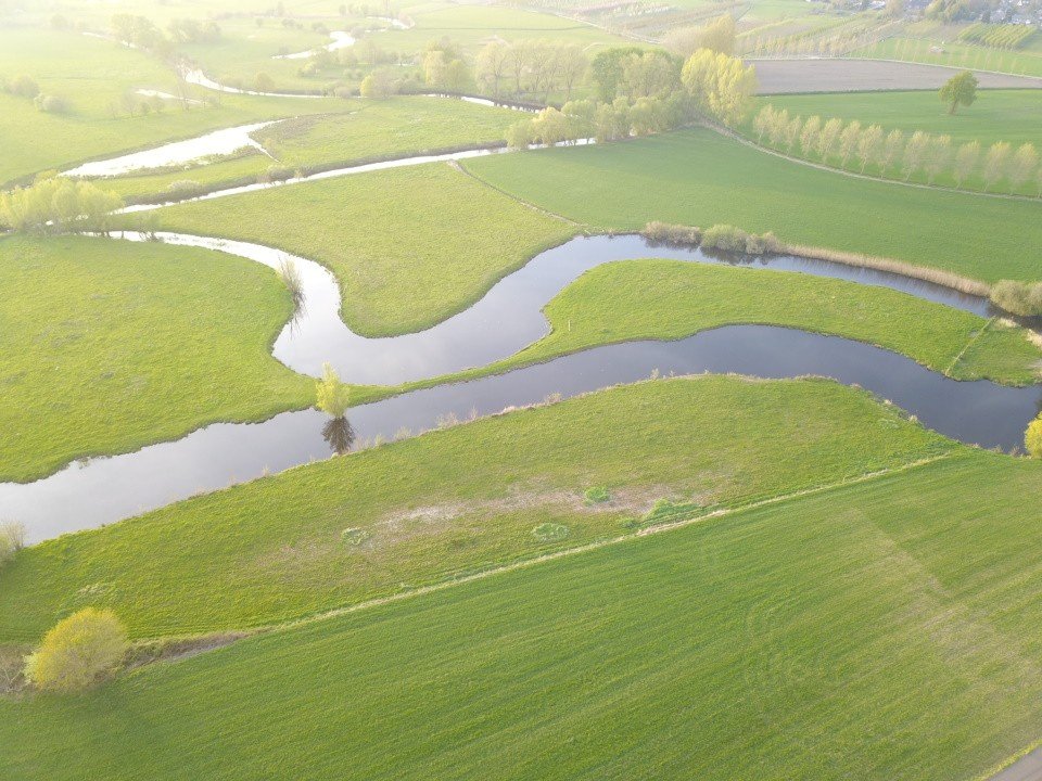 Dode armen van de Dommel